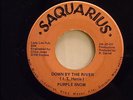 PURPLE SNOW - FUNK SOUL PSYCH - 'DOWN BY THE RIVER' - DETROIT -*LISTEN*
