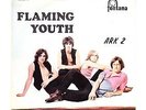(GENESIS) / FLAMING YOUTH 'GUIDE ME ORION' PORTUGAL EP - 