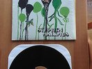 Stephen Malkmus - Face the Truth LP - Matador US 150 gram OOP Pavement