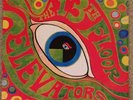 The Psychedelic Sounds Of The 13th Floor Elevators 1st Stereo Press Vinyl LP