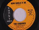 rare Soul 45 ESQUIRES how could it be BUNKY Listen