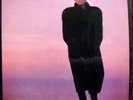 MARY BLACK by the time it gets dark LP Mint- DARA USA 027 Vinyl 1987 Record