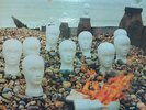 Super RARE / CRESSIDA / ASYLUM / VERTIGO / 1971 / Fr / EX