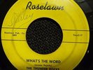 Thunder Rocks - What's The Word - Roselawn 501     VG wol