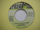 YELLOW BIRD - JAH IS MY PROTECTION (KILLER PARISH DIGI) LISTEN ?