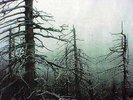 NADJA / DATASHOCK s/t  12