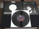 T.REX DANDY IN THE UNDERWORLD 12