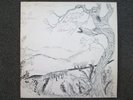 ACID ARCHIVES RARE 1977 PRIVATE LP LEE FARMER TO A WESTERN SKY DREAMY FOLK PSYCH