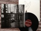PAUL McCARTNEY - CHAOS AND CREATION IN THE BACKYARD - LP 2005 ORIG   NM