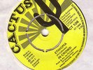reggae killer roots IN CROWD born in ethiopia CACTUS EX+