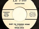 NORTHERN 45-MACK RICE-BABY I'M COMING HOME /MY BABY on LU PINE-NM