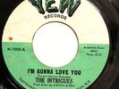 NORTHERN 45-THE INTRIGUES-I'M GONNA LOVE YOU /I GOTTA FIND OUT on YEW