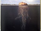 MARS VOLTA De-Loused In The Comatorium 2LP Silver Vinyl NM at the drive in atdi