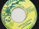 FULL MOON MILITANT REGGAE 45 ADUKA NEWMAN LIBERATION STRUGGLE ?