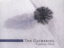 Gathering, The - Nighttime Birds Vinyl EU 2LP