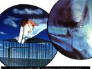 MYLENE FARMER - INNAMORAMENTO - DOUBLE VINYL PICTURE DISC - NEUF