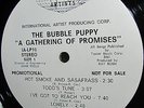  1969 WHITE PROMO = THE BUBBLE PUPPY = GATHERING = HOT SMOKE & SASAFRASS Psych