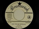 The Chi-Lites soul 45 Are You My Woman / Troubles a'    Brunswick VG++ Promo