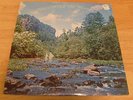 MARK & BONNIE BRANCIAROLI LP WANDERING THE WOODS PRIVATE PRESS FOLK PSYCH 1979