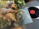 JOHN MAYALL     - BLUES FROM LAUREL CANYON -  GERMAN PRESS IN TOP CONDITION
