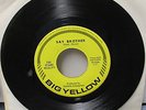 The Stark Reality Vinyl 45 'Say Brother' Big Yellow label 45-63 VG Funk TV Rare