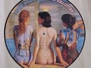 PINK FLOYD   RARE BEAUTIES PICTURE DISC LP Live Tracks    New