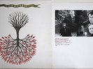 *ORIGINAL PRESS* Lungfish 