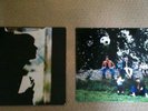 Paul Weller Wild Wood Original Press Gatefold Vinyl LP Record 