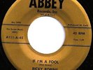 RICKY ROBINS If I'm A Fool 45 on Abbey ROCKABILLY/TEEN Listen