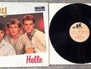 12´ Vinyl Lp JOY HELLO DMM Mastering, Lost In Hong Kong,Touch By Touch,Rare