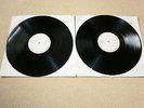 The Beatles Rock'n'Roll Music Vol.1 und 2 als Musterplatte