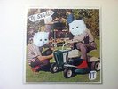 TY SEGALL 