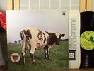 PINK FLOYD LP 