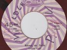 JOHNNY ARCE   Ritmo de salsa  KILLER SALSA GUAGUANCO 70s PERU 45