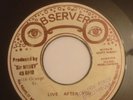 Dennis Brown - Live After You / Bottle Head - In Fine Style (version) (observer)