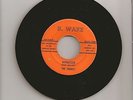 The Chants Hypnotized B. Ware # 869 Garage Rock 45 Record b/w Elaina Nice Cond