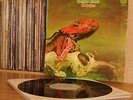 Gentle Giant - Octopus LP **UK 1st Press 1972 Vertigo Swirl 6360 080**