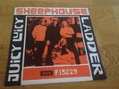 SHEEPHOUSE ladder  PS UK PSYCH DANCER mod DANISH EXPORT PS 45