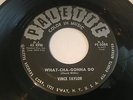 RARE POPCORN 45/ VINCE TAYLOR 