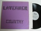 PRIVATE OUTSIDER FOLK COUNTRY - GAY INTEREST - LAVENDER COUNTRY - 1973 - NM