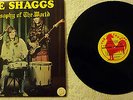 THE SHAGGS 