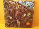 DRAGONFLY LP PSYCH orignal ACID ARCHIVE megaphone HEAVY PSYCH