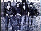 RAMONES 1st ALBUM RARE ORIG '75 SIRE LP w/ORIG CATALOG # & CUSTOM INNER SLEEVE