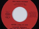 Funk/Deep Soul 45 DYNAMIC WALTER-B & NEW BREED BAND Before Fall In Love HEAR NM