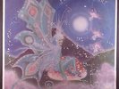 Sky Sulamyth-Full Moon Light LP RARE PRIVATE PRESS COSMIC FOLK PSYCH