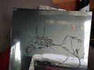 Copeland Beneath Medicine Tree Vinyl SEALED **RARE** in motion sunshine