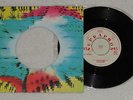 LES MISTIGRIS Ticket To Ride Beatles Summer Nights 7