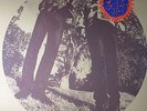 SEGALL, TY/WHITE FENCE - Hair - Limited White Vinyl LP