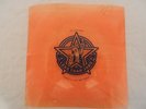 LESS THAN JAKE - GO GATORS FLEXI 7