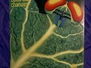 LP  CATAPILLA Changes 1972 gimmix cover VERTIGO SWIRL 6360074 Monster Prog MINT